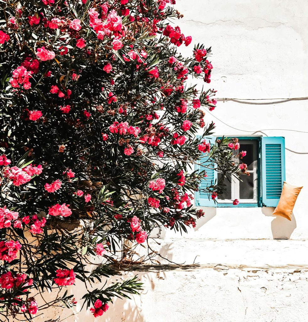 Φολέγανδρος: Το καλωσόρισμα της αρχόντισσας των Κυκλάδων