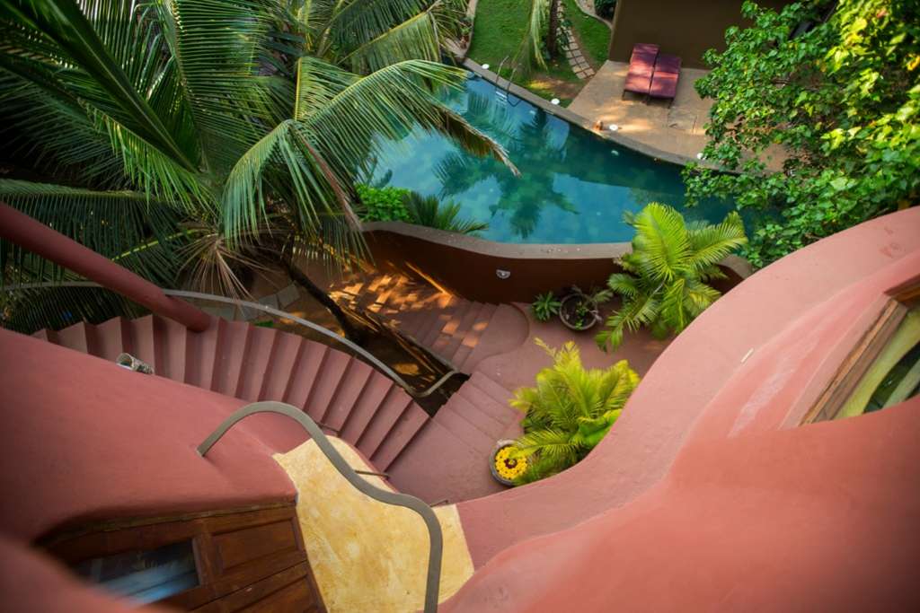 Vegan Resorts & Fine dining: Οδηγός για eco-chic ταξίδια