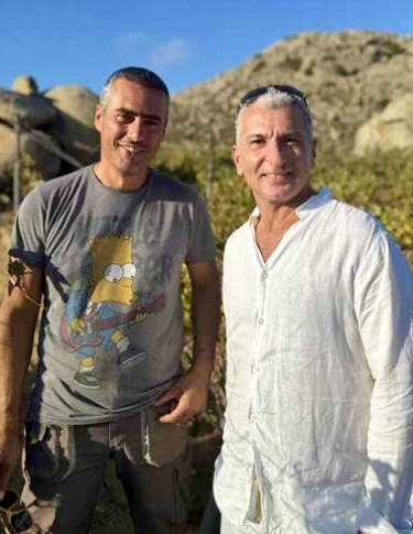 Ελληνικό κρασί: Ένα ταξίδι στις γηγενείς ποικιλίες της Ελλάδας